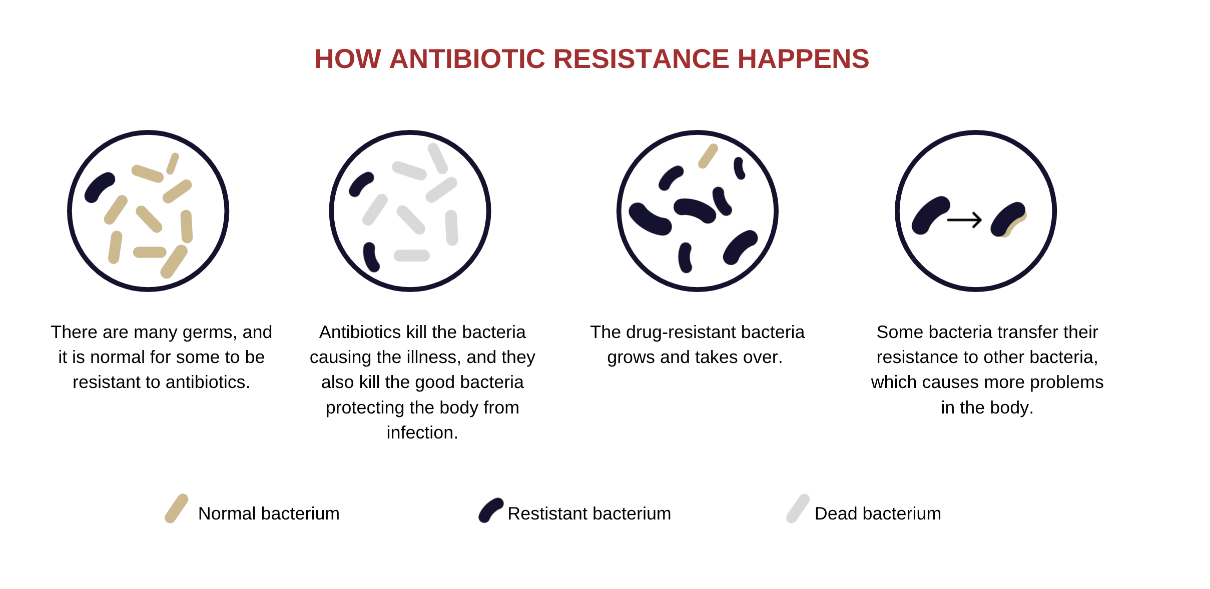 Antibiotic Resistance Vigilint 4844